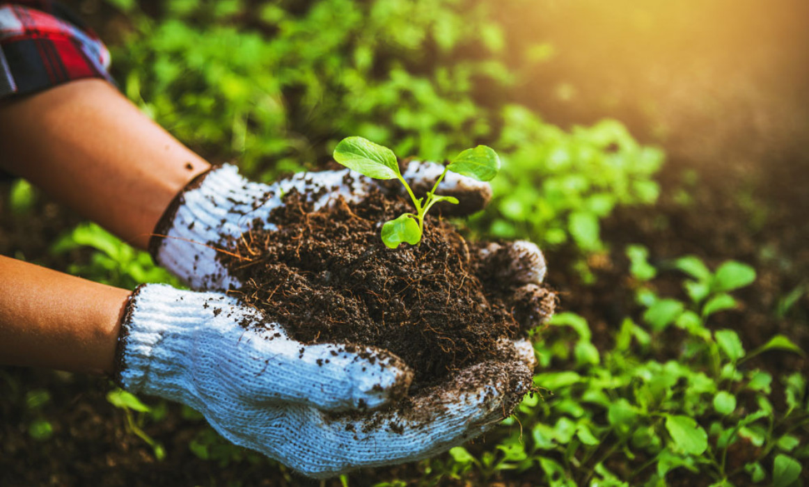 Agriculture & Farming